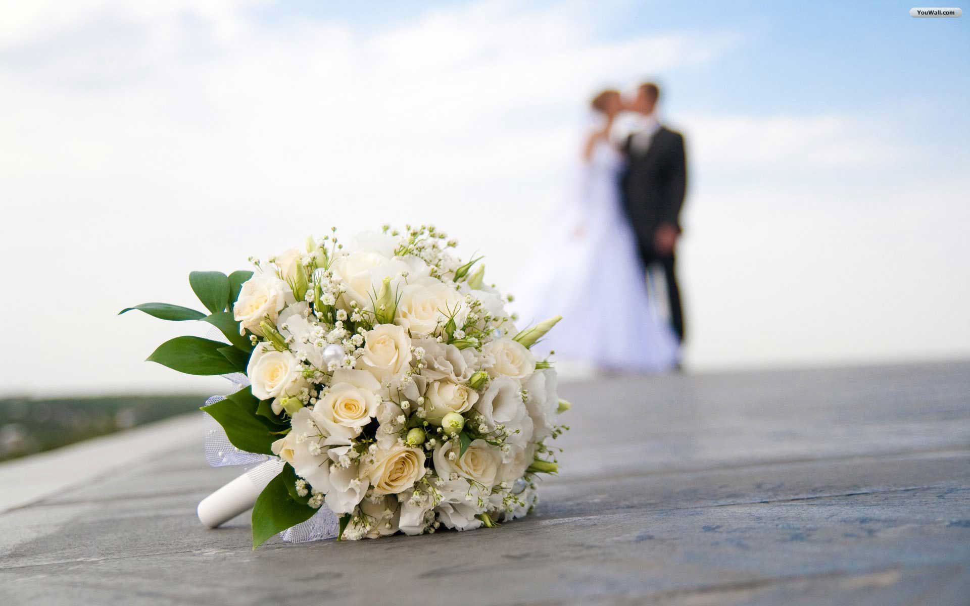 Colorfield Media weddings and special events image
